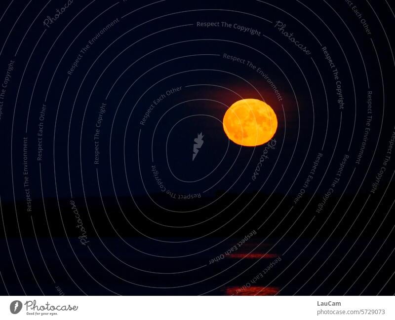 Vollmond Mond Nacht Abend Mondschein dunkel Nachthimmel Abendstimmung Nachtstimmung Himmel leuchten rund Licht Lichterscheinung Mondaufgang Kontrast