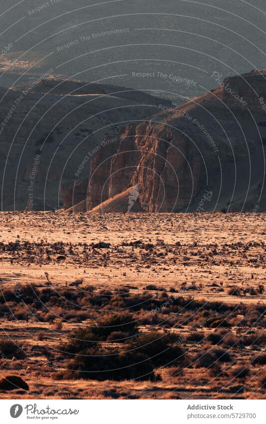 Das warme Licht des Sonnenuntergangs beleuchtet die zerklüfteten Hochebenen und die spärliche Vegetation der patagonischen Wüste in einer fesselnden, trockenen Landschaft