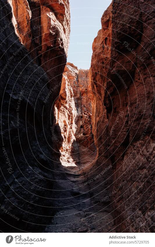 Das Sonnenlicht dringt in eine enge Schlucht ein und beleuchtet die strukturierten Wände in der patagonischen Wildnis, so dass ein Pfad der Entdeckung entsteht