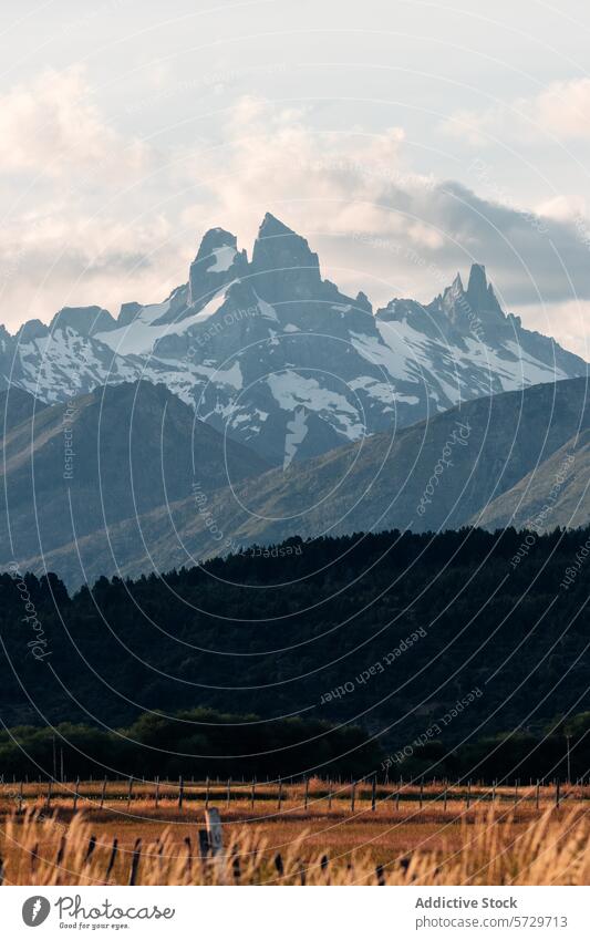 Das heitere Licht des Sommerabends taucht die ikonischen Gipfel des argentinischen Patagoniens in ein goldenes Grasland im Vordergrund. Argentin Abend