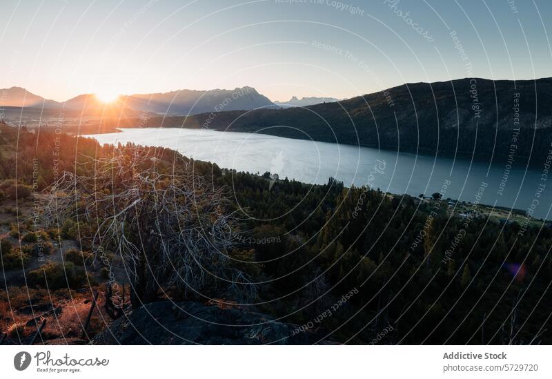 Die Sonne geht über einem ruhigen See in Patagonien, Argentinien, auf und wirft ein goldenes Licht auf das Wasser und die umliegenden Wälder und Berge