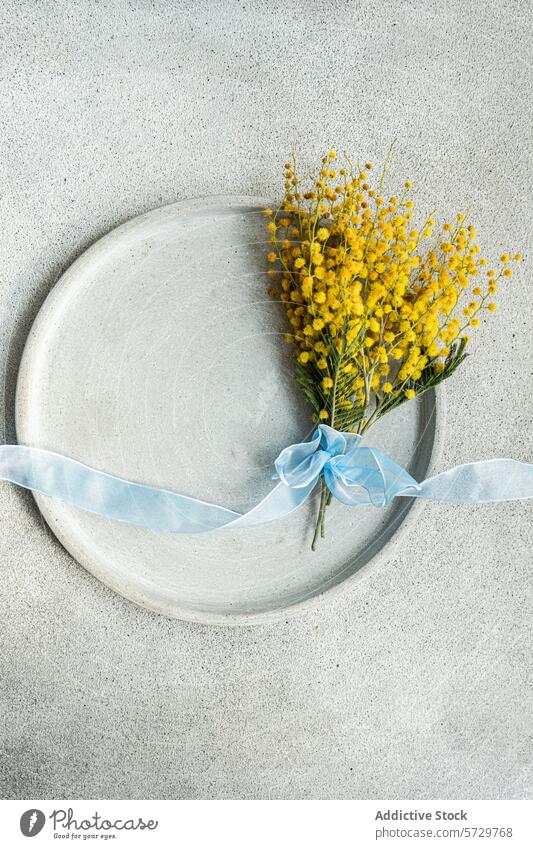 Draufsicht auf einen malerischen Strauß Mimosenblüten, zart gebunden mit einem hellblauen Band, der auf einem Keramikteller vor einem glatten Betonhintergrund liegt