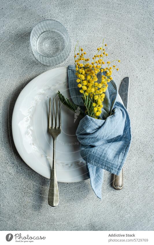 Draufsicht auf einen frisch gedeckten Tisch im Freien mit weißem, geprägtem Teller, silbernem Besteck, einer blauen Leinenserviette und einem Zweig leuchtend gelber Mimosenblüten