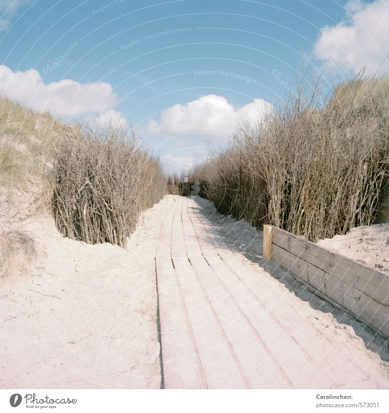 Holzweg harmonisch Zufriedenheit wandern Natur Landschaft Sand Wasser Wolken Frühling Sträucher Strand Nordsee Glück Vorfreude Wege & Pfade Helgoland Farbfoto