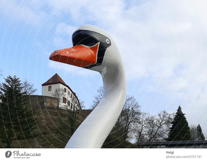 der Schlosswächter Schwan Schwanenkopf Dekoration Gebäude Bauwerk alt historisch Perspektive Baum Himmel Burg oder Schloss Architektur Sehenswürdigkeit