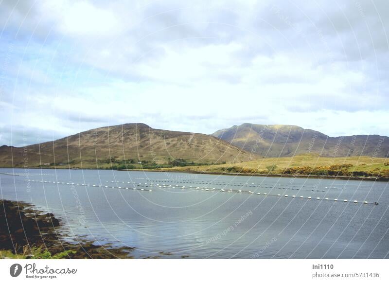 Killary Harbour Fjord in Irland I Natur Landschaft einzigartig Einsamkeit Connemara Meeresarm Gletscherfjord Hügelketten Muschelzucht Muschelbänke