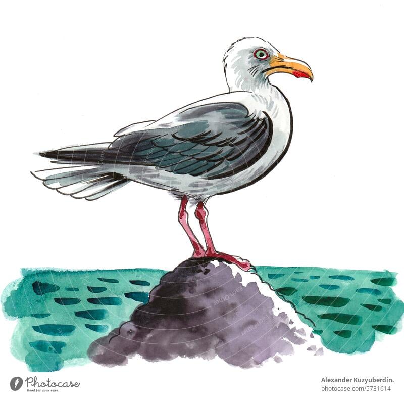 Möwe, die auf einem Felsen sitzt. Hand gezeichnet Aquarell Skizze Vogel Tier Natur Kunst Kunstwerk Wasserfarbe Malerei Grafik u. Illustration marin Zoo