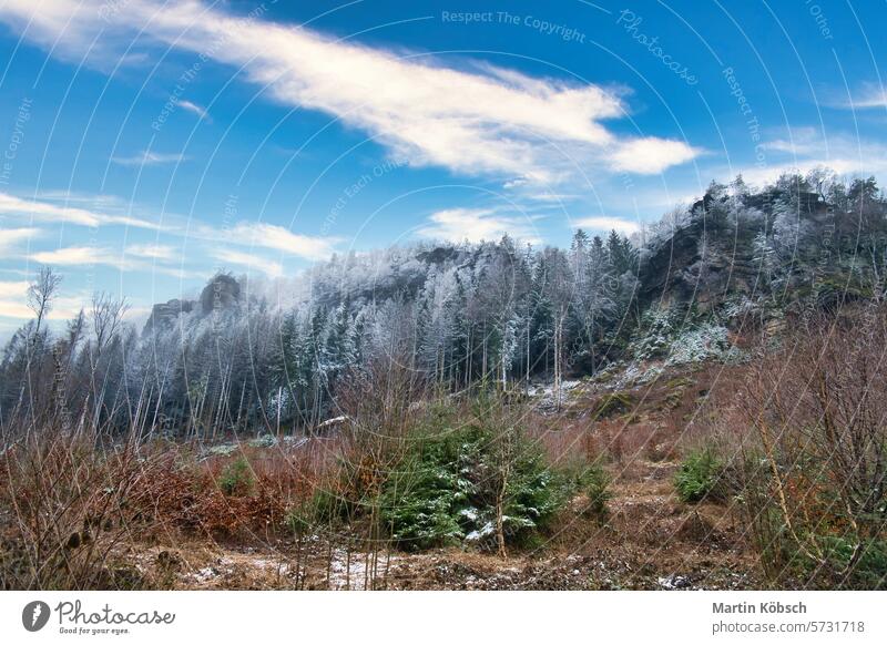 Zschirnstein mit schneebedeckten Bäumen und Sonnenaufgang im Nebel, auf dem Gipfel, Wanderung. Felsen Winter Schnee Wald wandern Wurzel Sachsen Natur felsig