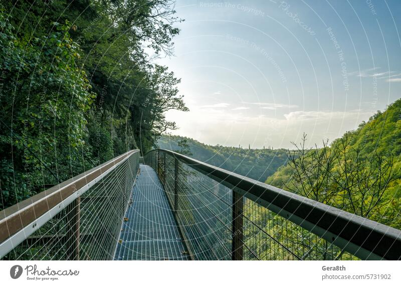 Metallhängebrücke in einer Schlucht in Georgia ohne Menschen Batumi Kaukasus Georgien Herbst blau Niederlassungen Brücke hell Klippe Klima Wolken Farbe