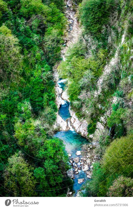 Luftaufnahme einer Bergschlucht mit Fluss und Wald in Georgien Land Georgien Herbst blau hell Schlucht Klima Küste farbig getriebener Strom frisch grün hoch