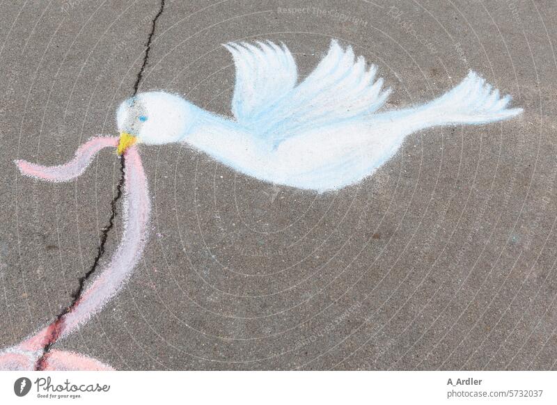 Friedenstaube auf Asphalt mit farbiger Kreide gemalt Peace zusammenhalt Demonstration peacezeichen Kreidezeichnung friedenszeichen freundschaft Kreideschrift