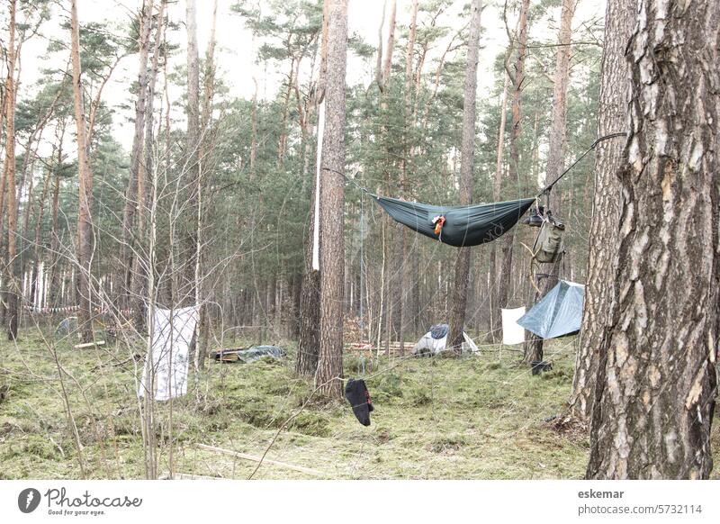 Zelte und Hängematte im Wald - wild campen, Waldbesetzung Abenteuer Natur Landschaft Camping Erholung grün Urlaub reisen Trekking wandern Baum Gras Ausflug