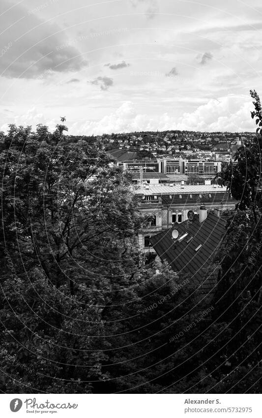 Blick auf Häuser in Stuttgart Stadt Bäume Architektur Kontrast Gebäude Schatten Haus Fenster Menschenleer Bauwerk Fassade Altstadt Stadtzentrum Altbau