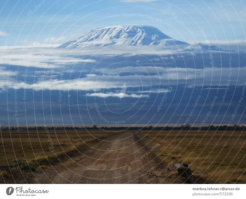 mystischer Kilimanjaro Landschaft Urelemente Schönes Wetter Wärme Berge u. Gebirge Schneebedeckte Gipfel Stein Abenteuer Farbfoto Außenaufnahme Morgen Totale