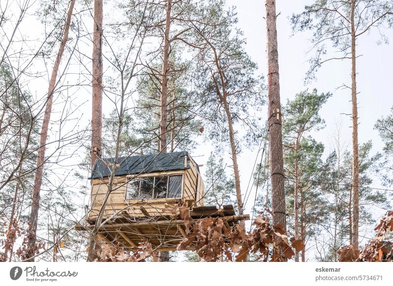 Baumhaus in besetztem Wald Außenaufnahme Grünheide Aktivismus Waldbesetzung Tesla Brandenburg im Freien Tag Bäume Klimawandel Natur Naturschutz Umweltschutz