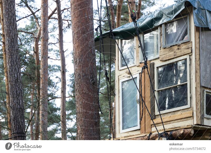 Baumhaus in besetztem Wald Haus Belegung Tesla Besetzung Grünheide Gigafactory Waldbesetzung Natur Außenaufnahme Farbfoto Aktivismus Brandenburg wild im Freien