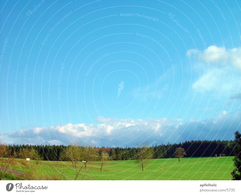 frühlingsfarben Frühling grün Himmel blau Landschaft