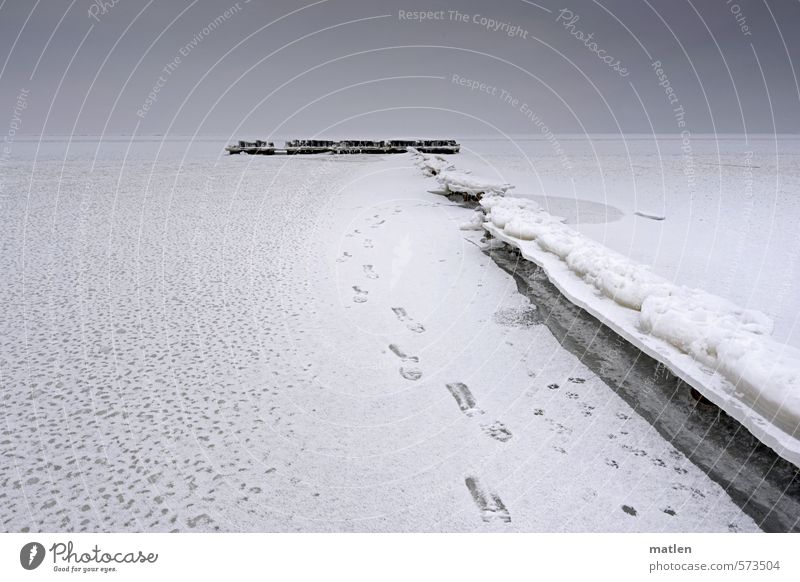 break Landschaft Himmel Wolken Horizont Winter Wetter schlechtes Wetter Eis Frost Küste Ostsee schwarz weiß Holzpfahl brechen Farbfoto Gedeckte Farben