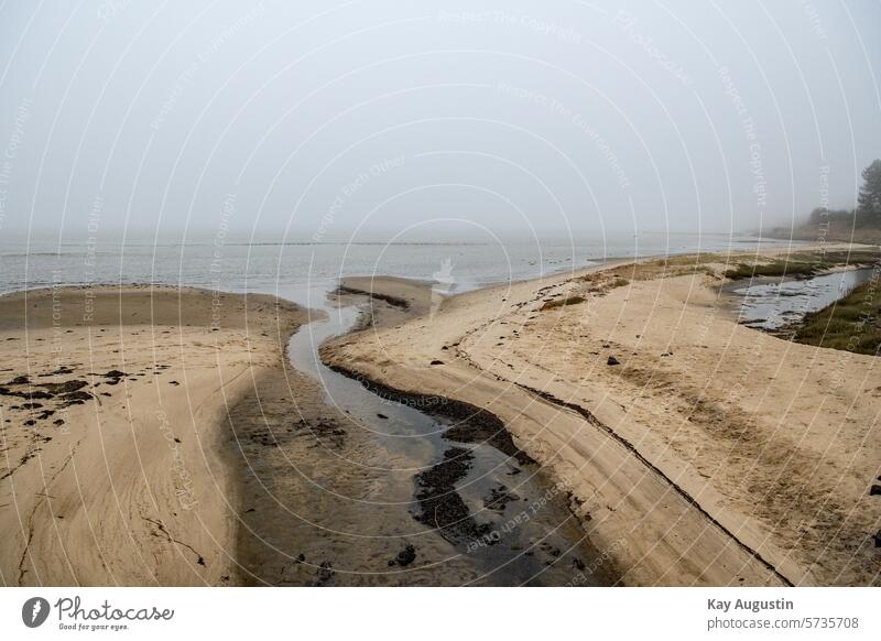 In Nebel gehüllt Natur Außenaufnahme Landschaft Farbfoto Menschenleer Tag Gezeiten Nordsee Nordseeküste Dunst Wetter Landschaften Insel Sylt