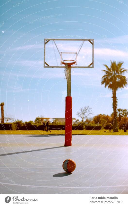 Korb und Ball auf einem Basketballplatz im Freien mitten im Grünen pallacanestro Sport Gericht Natur Italien Italienisch grün Spiel spielen Streichholz