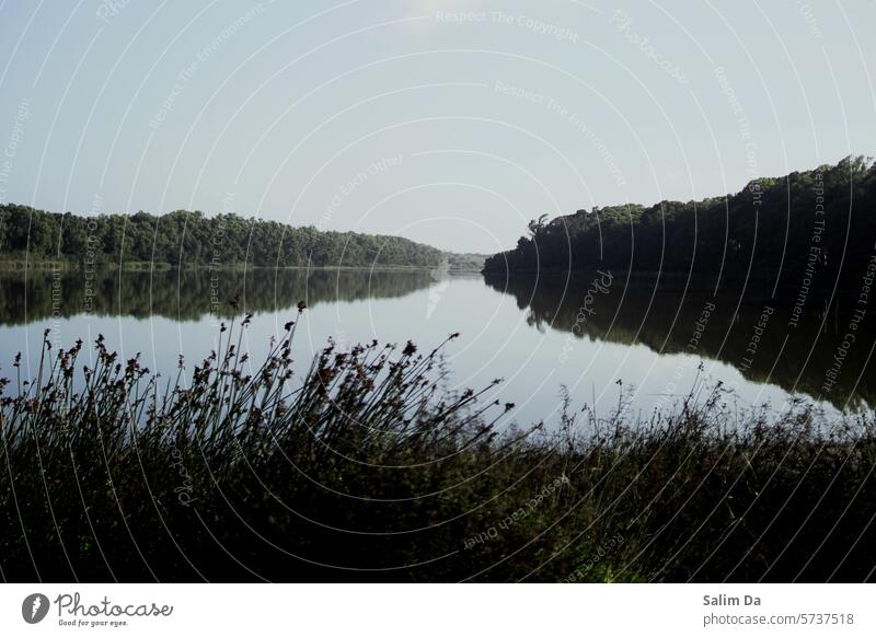 Schöne Aussicht auf den See Seeufer Seen lieblich Ansicht Betrachtung Ansicht von vorne Ansicht von der Seite Blick von hinten Aussichtspunkt Fotografie