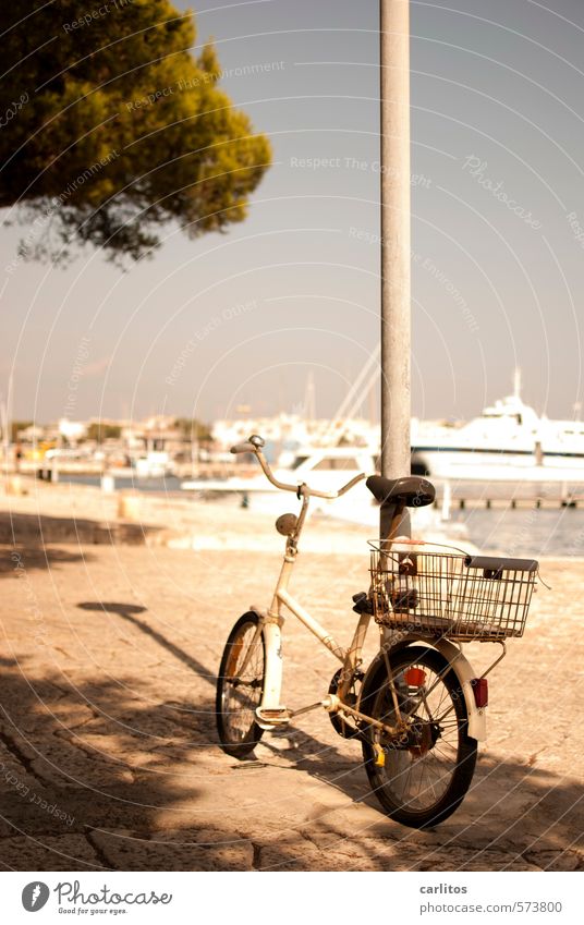 Brötchen holen Wolkenloser Himmel Sommer Schönes Wetter Wärme Küste Meer Hafen Schwimmen & Baden Pinie Anlegestelle Jacht Motorboot Fahrrad Reichtum