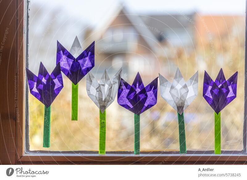 Farbige Blumen aus Transparentpapier auf Fensterscheibe transparentpapier lila weiß grün Bokeh durchscheinend Handarbeit Kinder Basteln Papier spass Origami