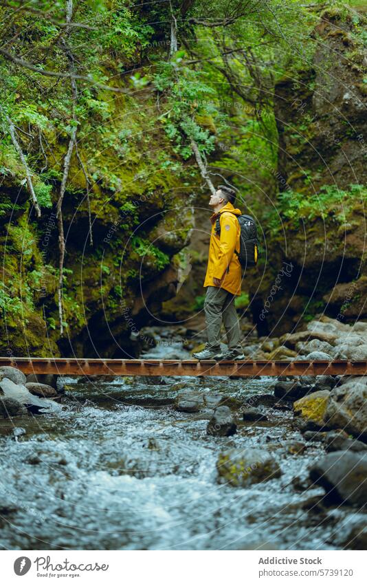 Wanderer erkundet die heitere isländische Wildnis Island Erkundung Reisender gelbe Jacke Holzbrücke Schiffsplanken natürliche Schönheit Grüne Schlucht im Freien