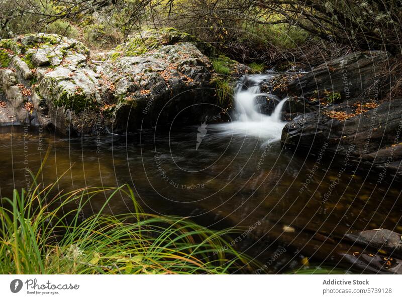 Ruhiger Waldwasserfall mit ruhig fließendem Wasser Wasserfall Gelassenheit Fließendes Wasser Natur Schönheit üppig (Wuchs) Grün strömen Kaskade Moos Steine