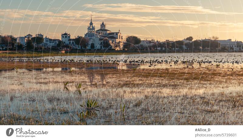 Landschaft der Lagune in rocio im Nationalpark Coto de Donana bei Sonnenaufgang almonte Andalusien Andalusia Hintergrund schön Vogelschutzgebiet Kirche Tau