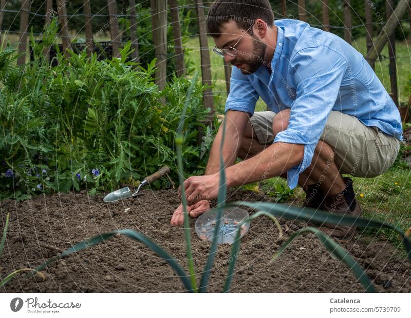 Achtsamkeit | beim Säen der Buschbohnen Natur Garten Frühsommer Pflanze Erde Erdboden Gemüse Pflanzen Gärtnern Gemüsegarten Gartenarbeit Gemüsebeet Beet grün