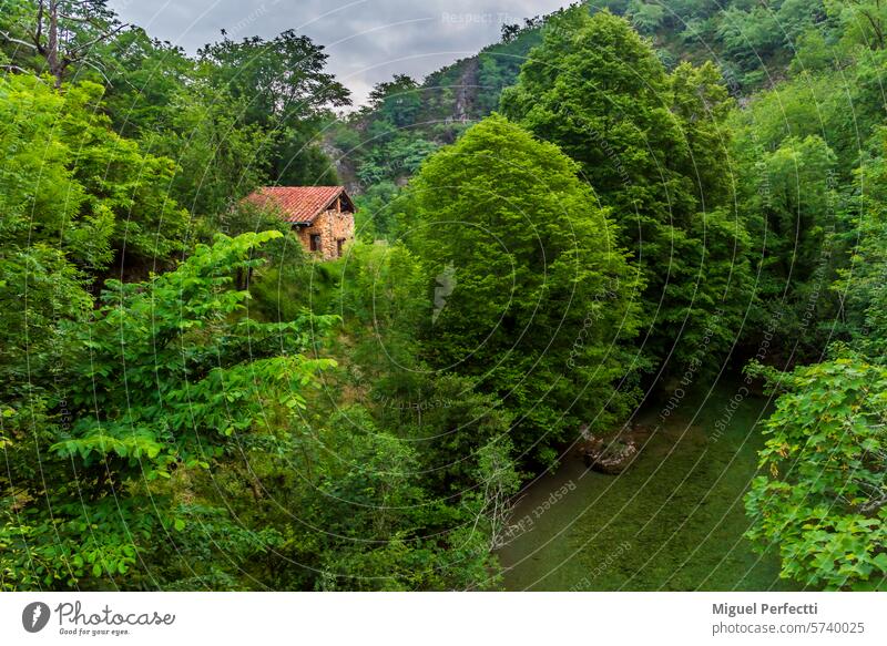 Steinhaus inmitten eines Waldes und neben dem Fluss Dobra in der Gemeinde Amieva, Asturien. dobra Haus Natur Cangas de Onis reisen Berge u. Gebirge außerhalb