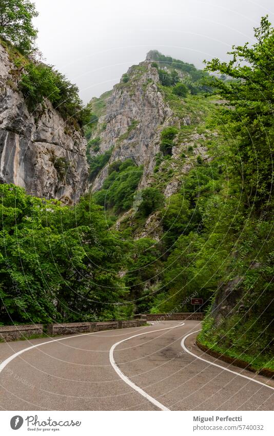 Straße, die durch die Schlucht von Los Beyos am Fluss Sella und zwischen den Gemeinden Amieva und Ponga in Asturien verläuft. verunreinigen Pass Natur