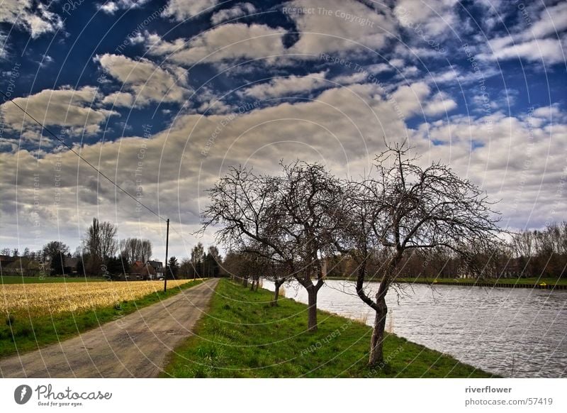 Sommertag Wolken mehrfarbig übertrieben Baum Wasser Farbe Natur Landschaft