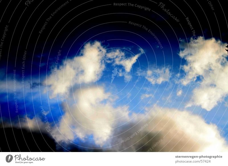 o.t. Wolken Flugzeug Himmel Gewitter blau Regen frei Freiheit fliegen