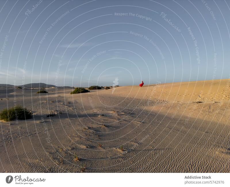 Einsame Frau in rotem Kleid auf Sanddünen stehend wüst Dunes Einsamkeit Landschaft Weite Klarer Himmel Natur abgelegen ruhig friedlich Stehen Wegsehen im Freien