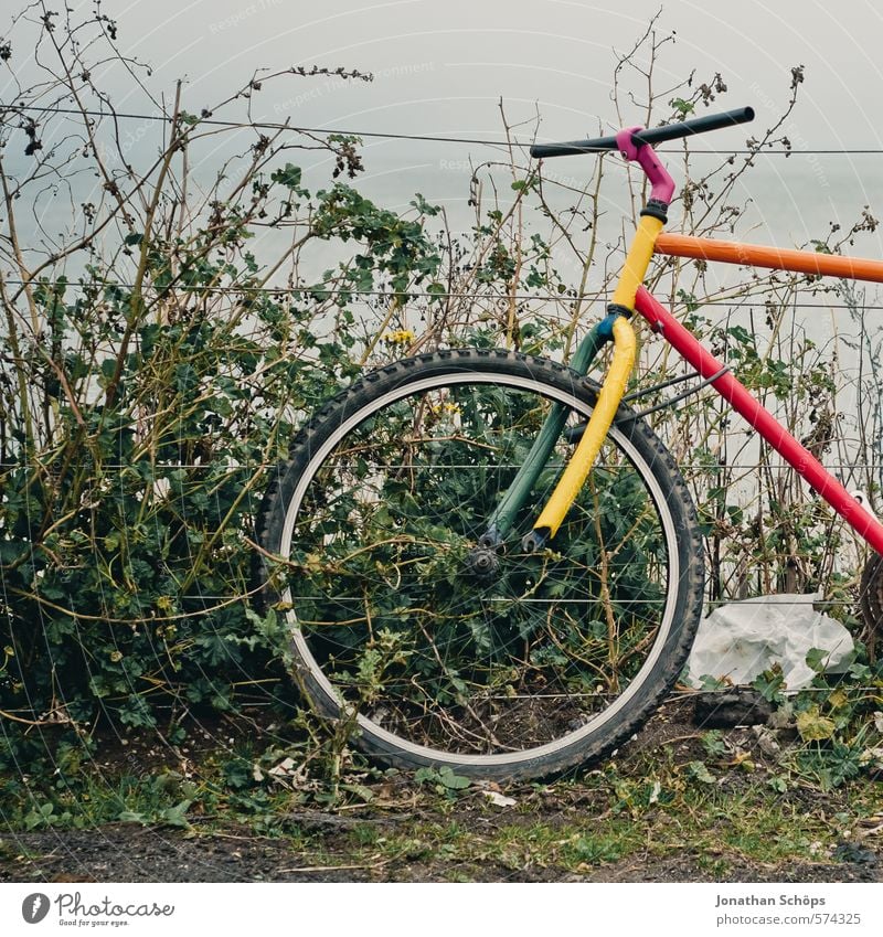 Portobello IX Natur Verkehrsmittel Fahrradfahren mehrfarbig ästhetisch Design einzigartig Kunst alt retro Retro-Farben Zaun Barriere Hecke Sträucher grün Wolken