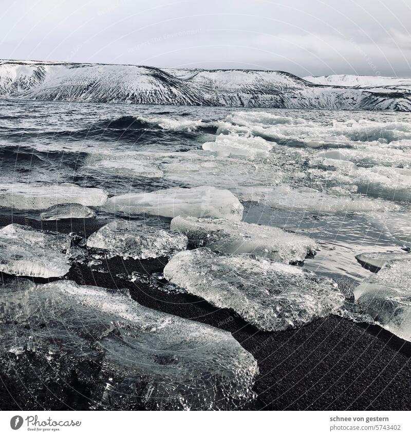 Lust auf Eis? Weiß Strand weiß Winter Himmel Küste Natur Frost Meer Landschaft Außenaufnahme kalt blau Schnee Tag Farbfoto Menschenleer Wolken Wasser Island