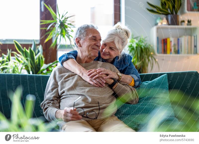 Porträt eines glücklichen älteren Paares, das zu Hause auf dem Sofa sitzt Menschen Kaukasier graue Haare lässig Tag im Innenbereich echte Menschen