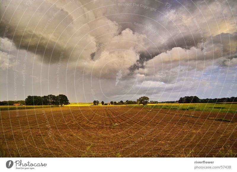 Feld an der Hase Wolken Wiese Baum himmlisch Götter mehrfarbig Landwirtschaft träumen schön Stimmung Landschaft Himmel Gott Farbe