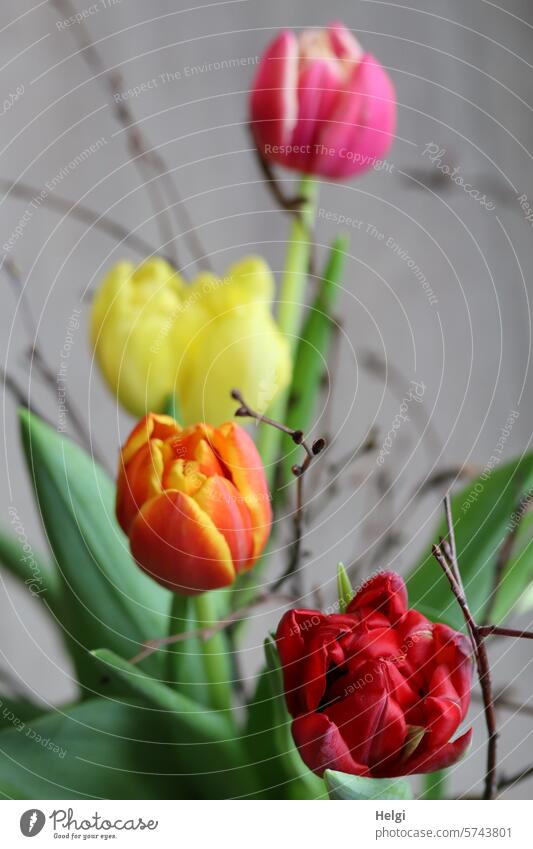 Tulpen und Zweige Blume Blüte Frühling Frühlingsblumen Blumenstrauß Dekoration Freude Dekoration & Verzierung Pflanze Blühend Farbfoto Innenaufnahme gelb rosa