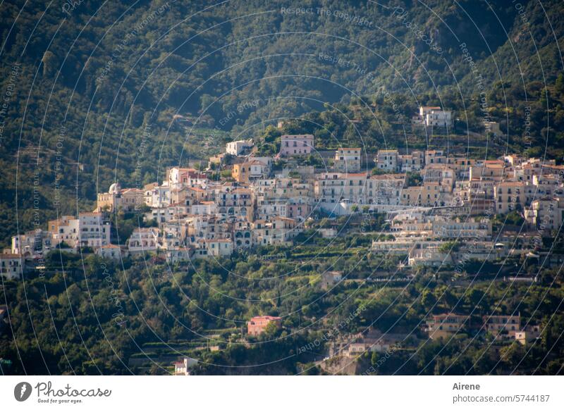 hoch droben am Berg Dorf Italien Kampanien alt Ferien & Urlaub & Reisen Totale Hang Italienisch mediterran Steilküste ländlich Überblick steil Sommer Bergdorf