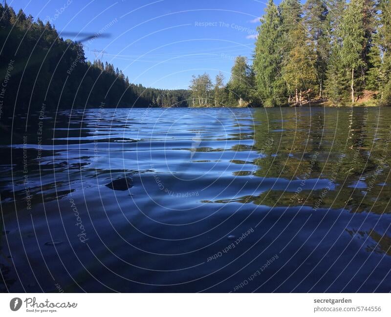 Hörst du die Stille? See Wellen Ruhe Norwegen Bergsee grün blau Sommer Urlaub Erholung Wasser nass Ferien & Urlaub & Reisen Natur Landschaft Himmel ruhig