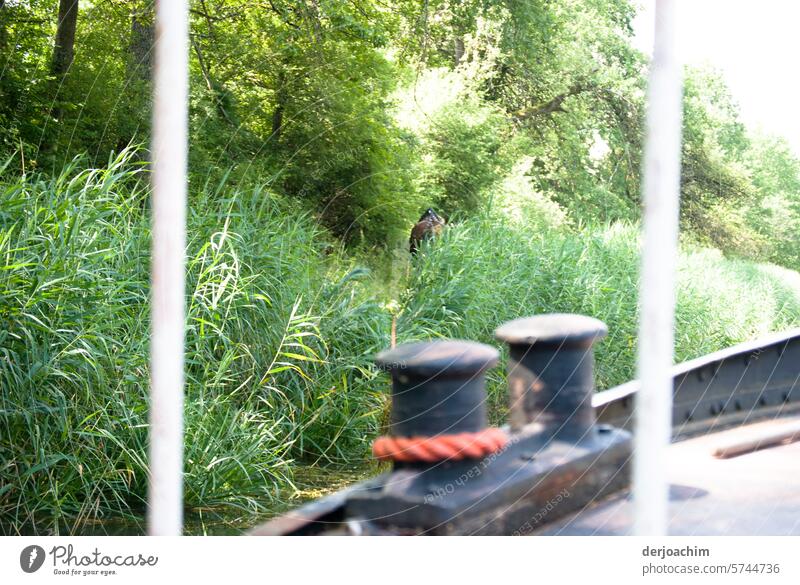 Eine besondere  "Kanalfahrt" .. Das Pferd zieht den Kahn auf der Uferböschung mit einem langen Seil, durch  den Kanal in Franken. Wasserstraße Menschenleer