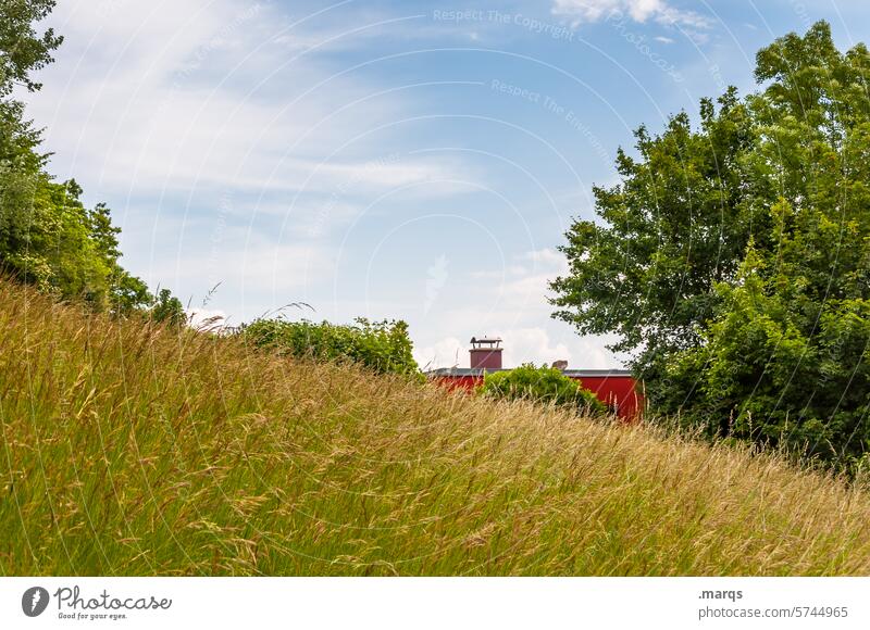 Haus im Grünen Wiese Natur Himmel Landschaft Umwelt Einsamkeit grün Häusliches Leben natürlich Gras Baum Wolken wohnen ökologisch ländlich