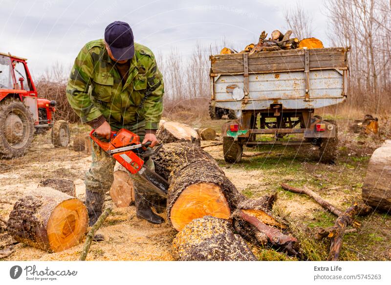 Holzfäller, Holzfäller, schneidet Brennholz, Holzstämme, mit Motorkettensäge Klinge anketten Kettensäge hacken geschnitten Entwaldung Ökologie gefällt Feller