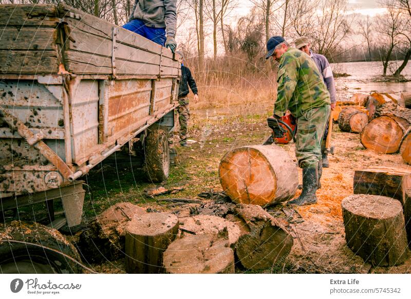 Holzfäller, Holzfäller, schneidet Brennholz, Holzstämme, mit Motorkettensäge in der Nähe des Flusses Bank Haufen anketten Kettensäge hacken Küste Querschnitt