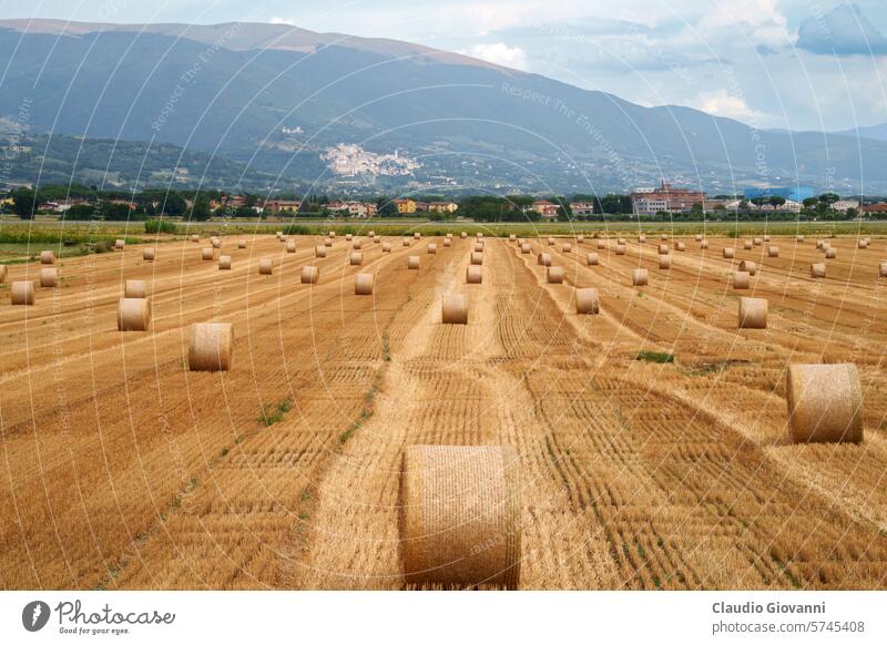 Ländliche Landschaft bei Perugia im Sommer Assisi Europa Italien Petrignano Umbrien Ackerbau Ballen Farbe Tag Feld Natur Fotografie ländlich reisen