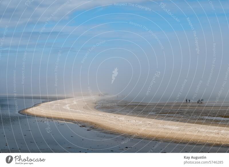 Seenebel im Watt Küstennebel Nebel Dunst Lister Ellenbogen Insel Sylt Königshafen Wattenmeer Luftmassen Nationalpark Wattenmeer Segelrevier Wassersport Natur