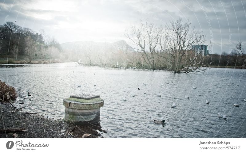 Lochend Park III Umwelt Natur Landschaft Himmel Pflanze Baum Seeufer Moor Sumpf Teich ästhetisch Schottland Großbritannien Wasser Teichufer